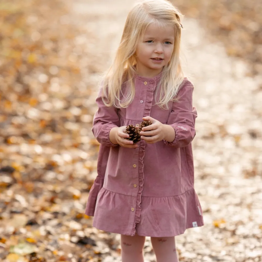 Little Dutch Jurk lange mouw - Roze - Fairy Garden - Corduroy