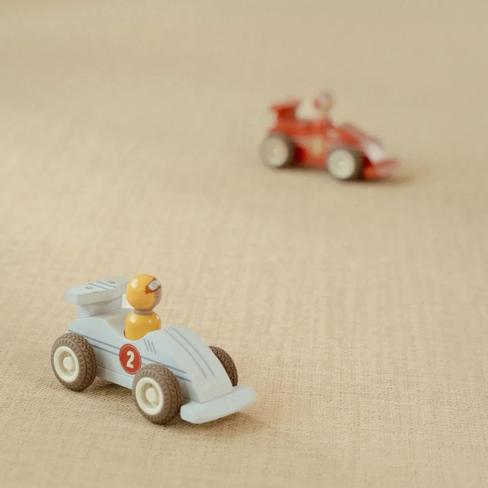 Little Dutch Pullback racewagens - Meerkleurig - Essentials