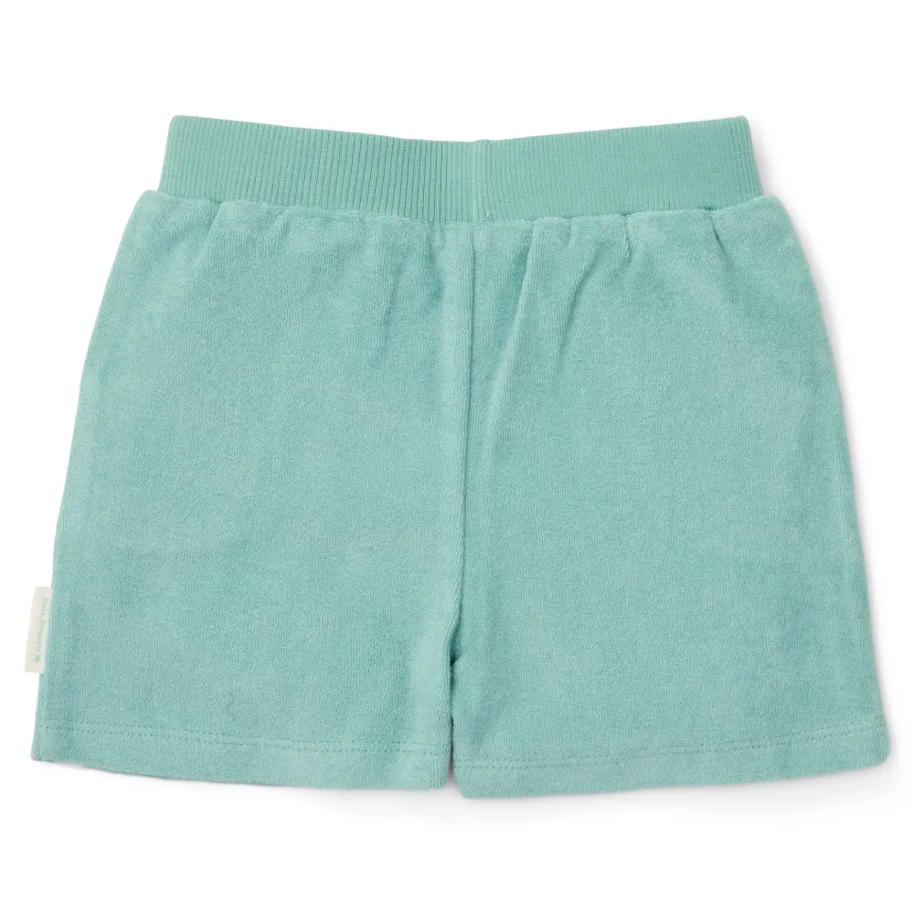 Little Dutch T-shirt en Short - Groen - Seashells and Stripes